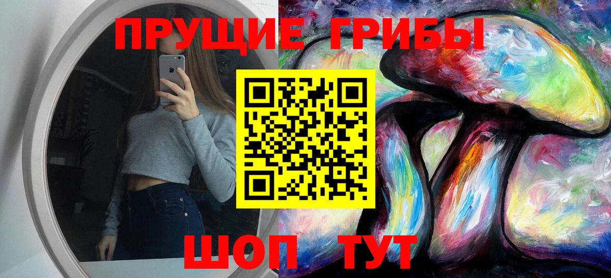 Псилоцибиновые грибы прущие грибы Томск