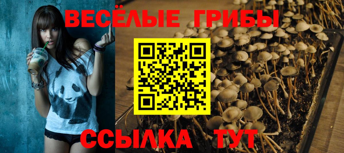 Томск  Псилоцибиновые грибы Magic Shrooms  Вход с VPN 